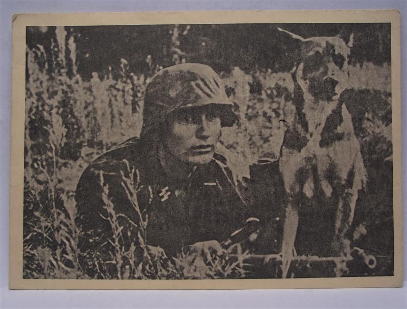 Wehrmacht Photo Post Card.