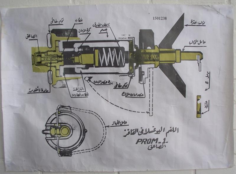 Iraqi ''Prom-1'' Training Poster.