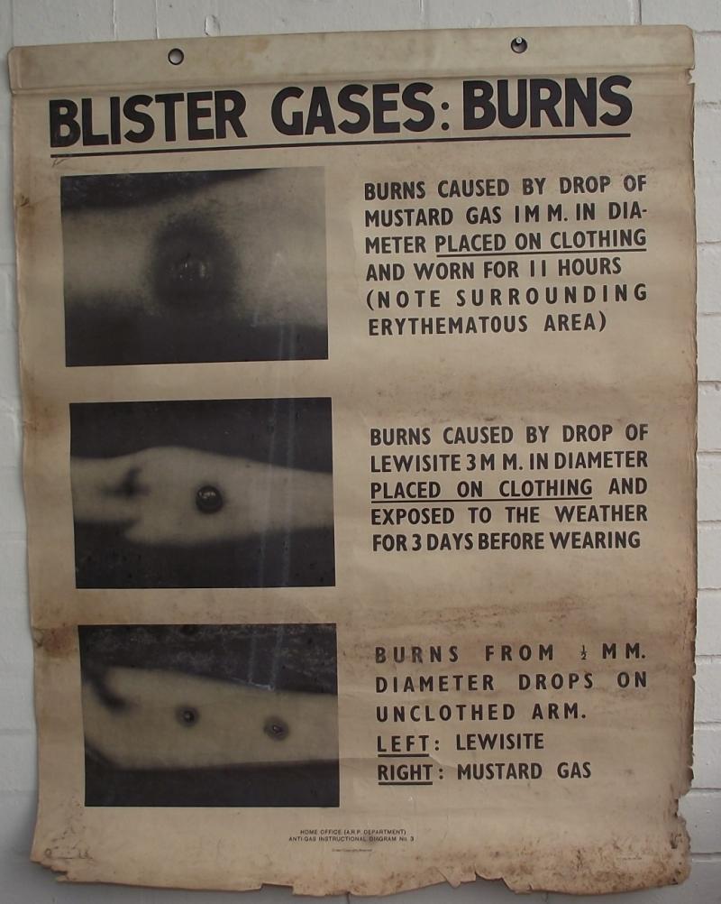 2 x ARP Blister Gas Training Posters.