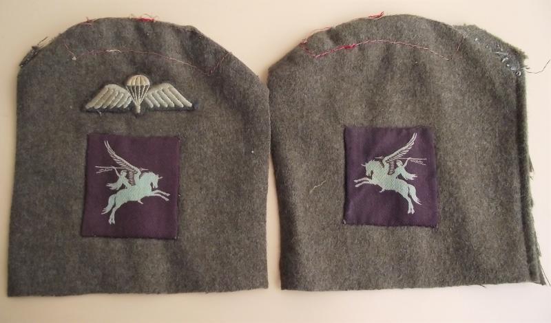 British Paratroopers Cloth Insignia, Pegasus and Wings, on Sleeves.